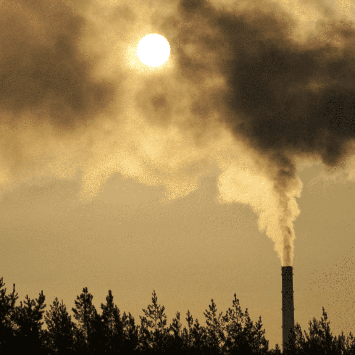 Genetic & Environmental Factors
